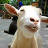 BAKRI