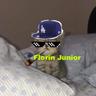 Florin Junior