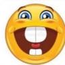 Stook