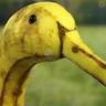 banana enjoyer