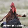 Cluckington