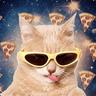 Catnip Cat on Pizza with Catnip