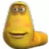 Yellow Larve
