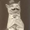FancyCat