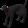 Bob The Cat