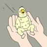 man bird