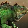 Lizard