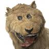 Aslan