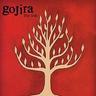 gojira