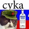 svetlana_luktfis