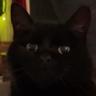 Herbert