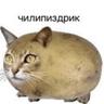 Чилепиздрик