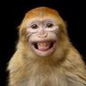 DwnrnkS Ape