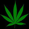 Cannabis