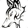 Coyote - AndreY