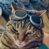 Catlue