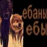 Тачка в проекте..