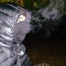 Mil_PVS
