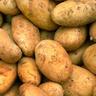 Friekj