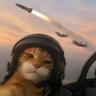 TogelCATGANG