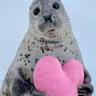 sealrious