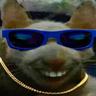 humster combat enjoyer