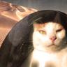 Lisan Al-Gatito