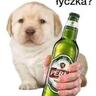 PerłoPies