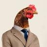 Mr. Chicken