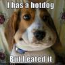 SPOOKY HOTDOG