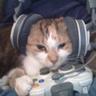 leadofkitten