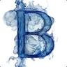 BaBich