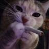 Ascy. legalize Cocaine
