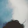 nasel