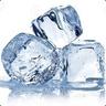 FrozenRats