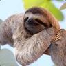 itzSlothy456