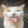 heeat