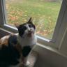 Tom