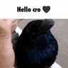 cro