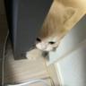 otur-
