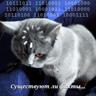 Интеграл Рима