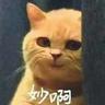介