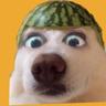 asianwhoeatsdogs