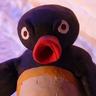 NOOT NOOT
