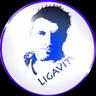 ✬ L I G A V I