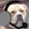 dogwinners