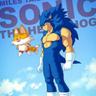 SONICRJ