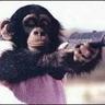 FaZe MonkeyMiester