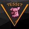 tess1t