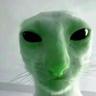 Jona